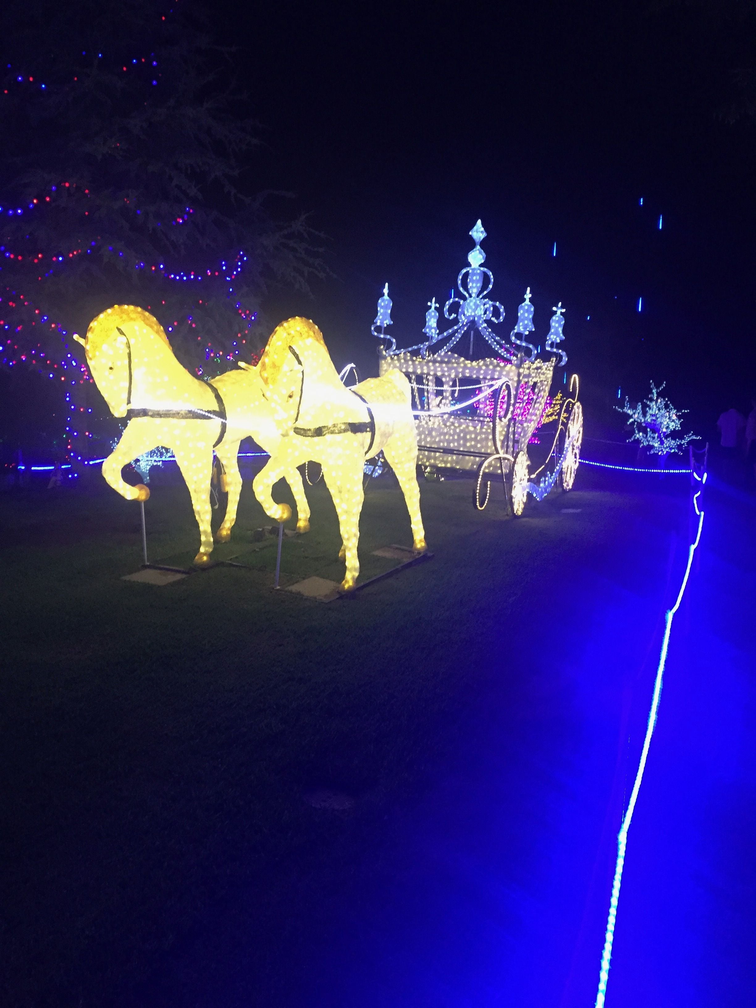 Hunter Valley Christmas Lights Spectacular Image -5b3abbe50cf1c